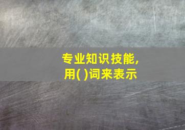 专业知识技能,用( )词来表示